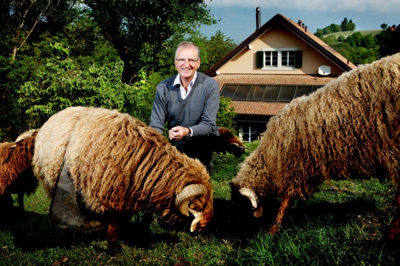 la ferme