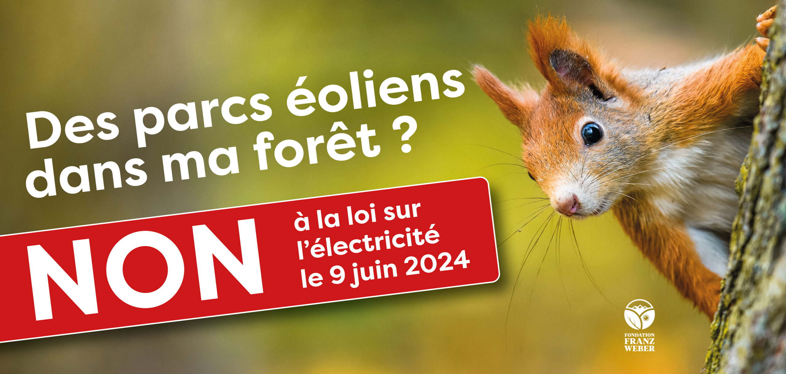 Non à la loi sur l'électricité le 9 juin 2024